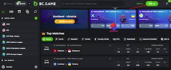 BCGameBet The Ultimate Guide to Online Gaming and Betting