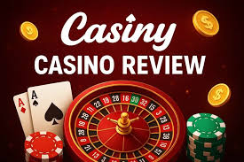 Discover the Exciting World of Casiny