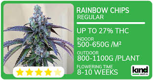 The Amazing Fat Bastard Weed A Comprehensive Guide