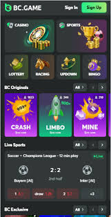 Ultimate Guide to Promo Codes and Bonuses BC.GAME