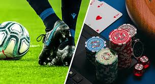 Explore the Exciting World of Dahe Bet 12 Explore the Exciting World of Dahe Bet 12
