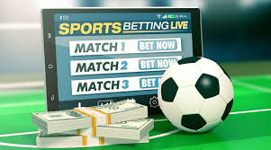 Discover the Excitement of 3333bet bd Your Ultimate Betting Experience Discover the Excitement of 3333bet bd Your Ultimate Betting Experience