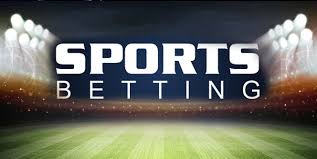 Discover the Excitement of 3333bet bd Your Ultimate Betting Experience Discover the Excitement of 3333bet bd Your Ultimate Betting Experience