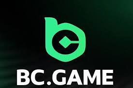 In-Depth Reviews of BCGame.sk Insights and User Experiences